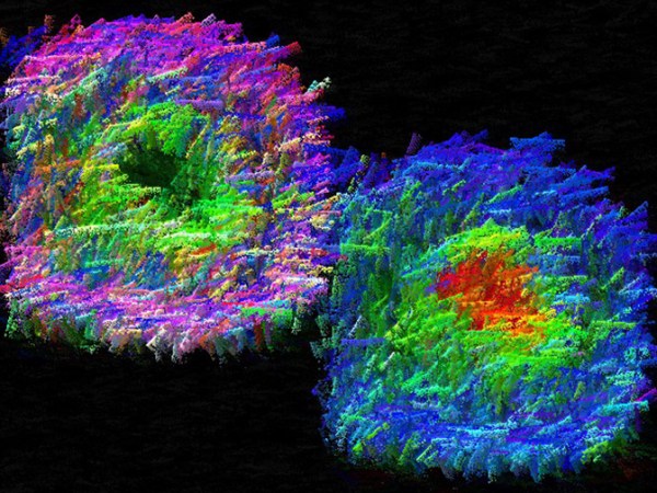 “Skin follicle” (2004), de Roger Bick |&nbsp;Arte+Ciência