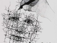 Conversa com os&nbsp;Pesquisadores